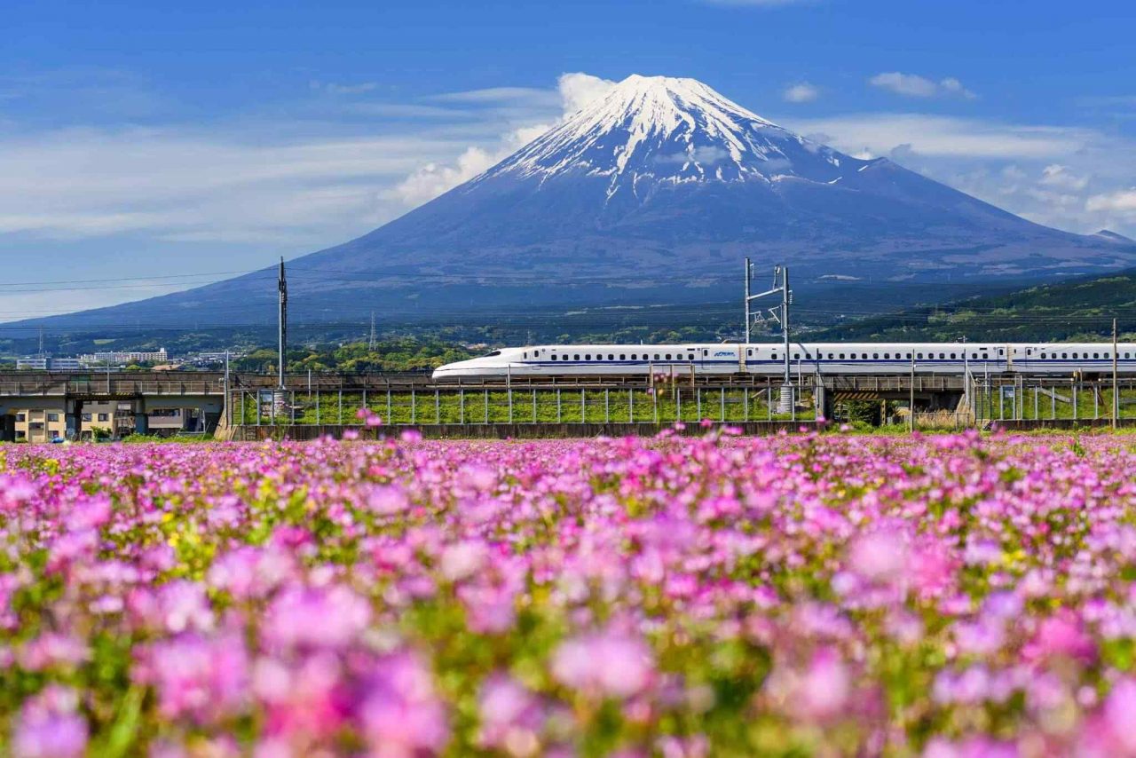 https://lebanondailytours.com/wp-content/uploads/2018/09/tour-osaka-04-1280x854.jpg